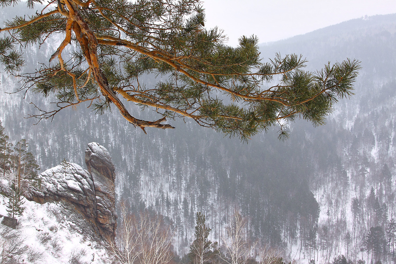 Canon EOS 500D (EOS Rebel T1i / EOS Kiss X3) sample photo. Krasnoyarsk stolby. national nature photography