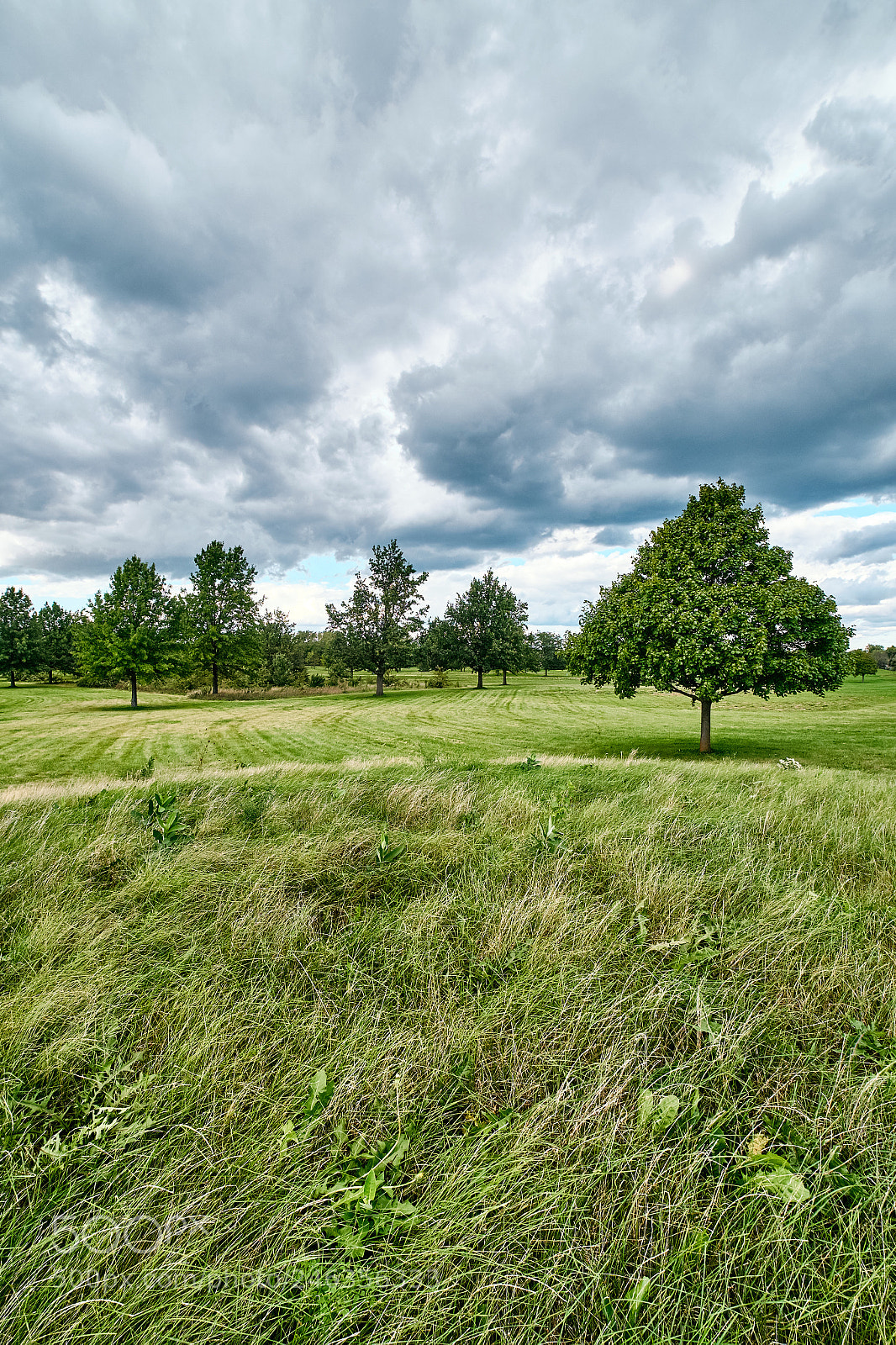 Fujifilm X-E1 sample photo. Stormy field photography