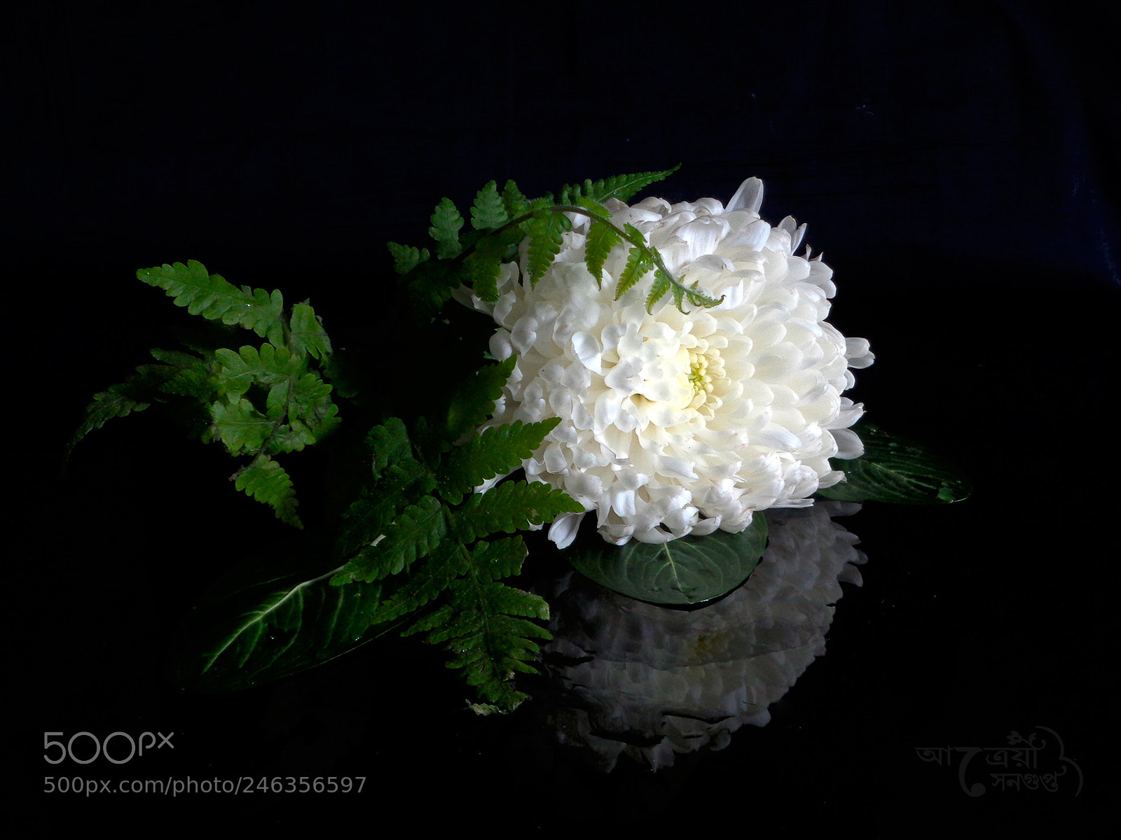 Sony Cyber-shot DSC-W830 sample photo. মনে রেখো কথা ছিল কিছু... photography
