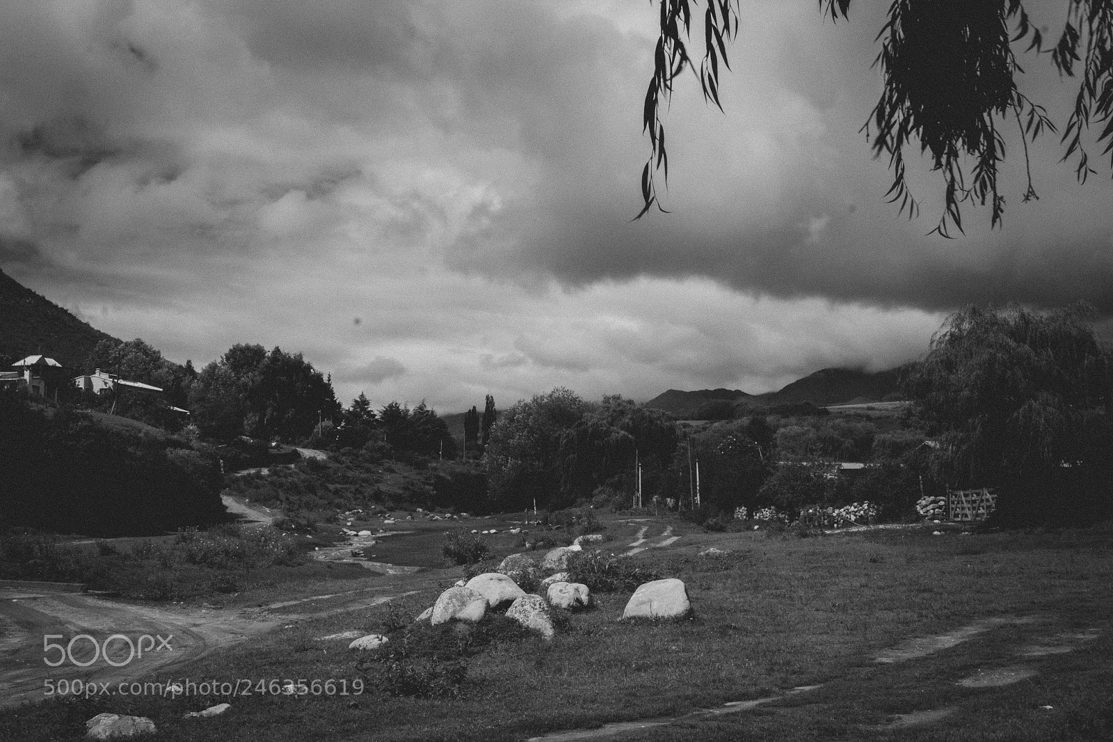 Canon EOS 550D (EOS Rebel T2i / EOS Kiss X4) sample photo. Tafi b&w photography