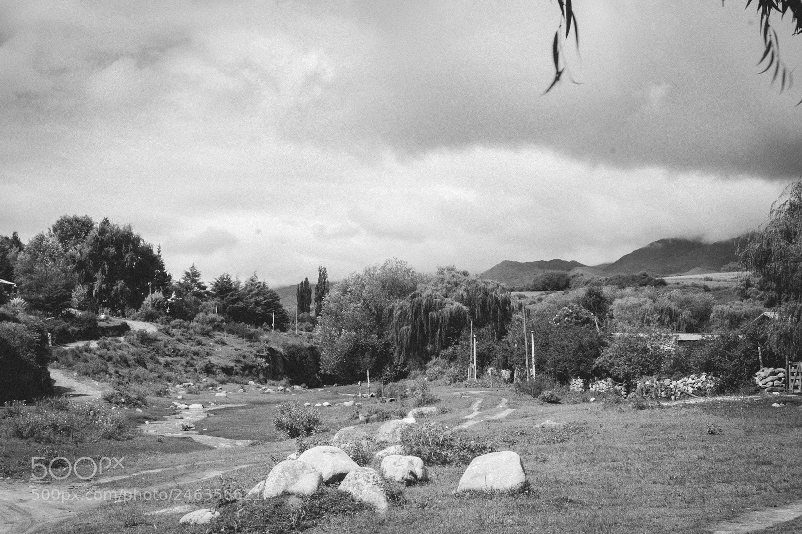 Canon EOS 550D (EOS Rebel T2i / EOS Kiss X4) sample photo. Tafi b&w photography