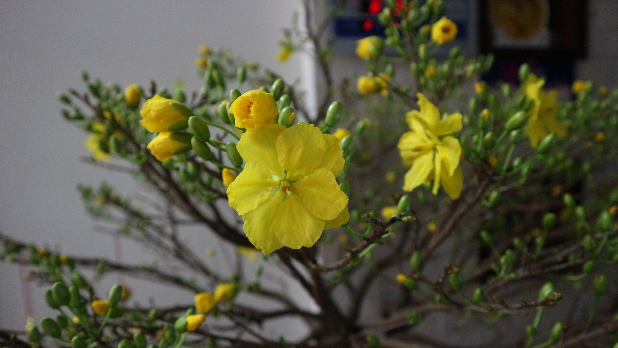 Canon EOS M10 sample photo. Img photography