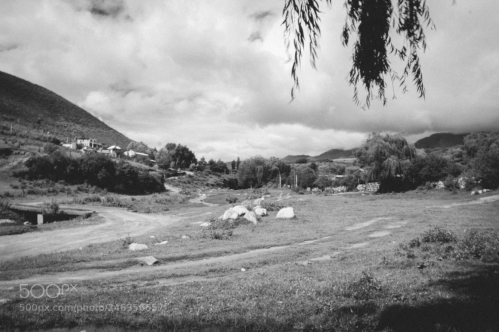 Canon EOS 550D (EOS Rebel T2i / EOS Kiss X4) sample photo. Tafi b&w photography