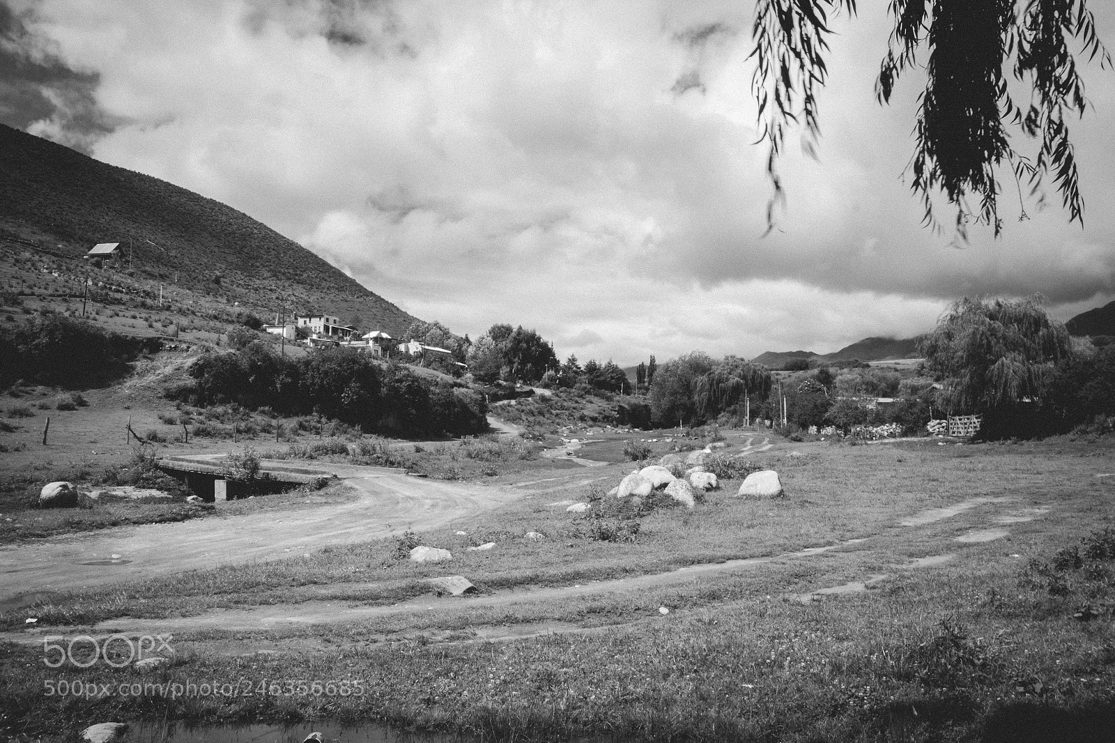 Canon EOS 550D (EOS Rebel T2i / EOS Kiss X4) sample photo. Tafi b&w photography