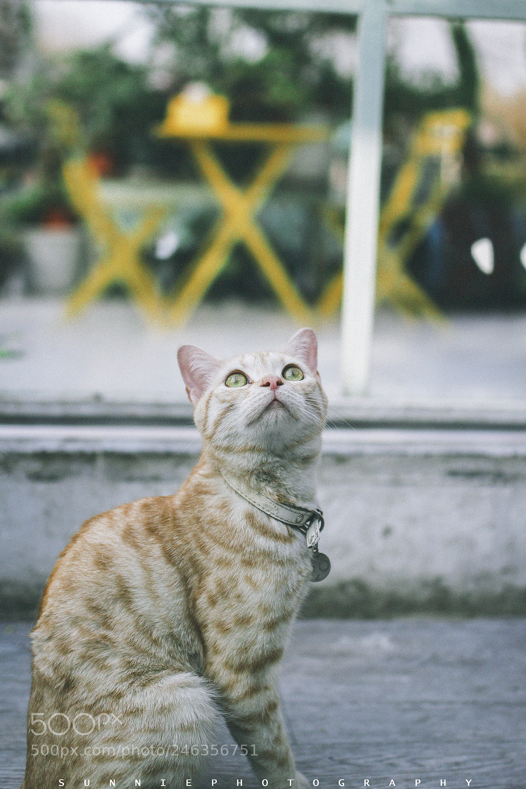 Canon EOS 60D sample photo. Untitled photography