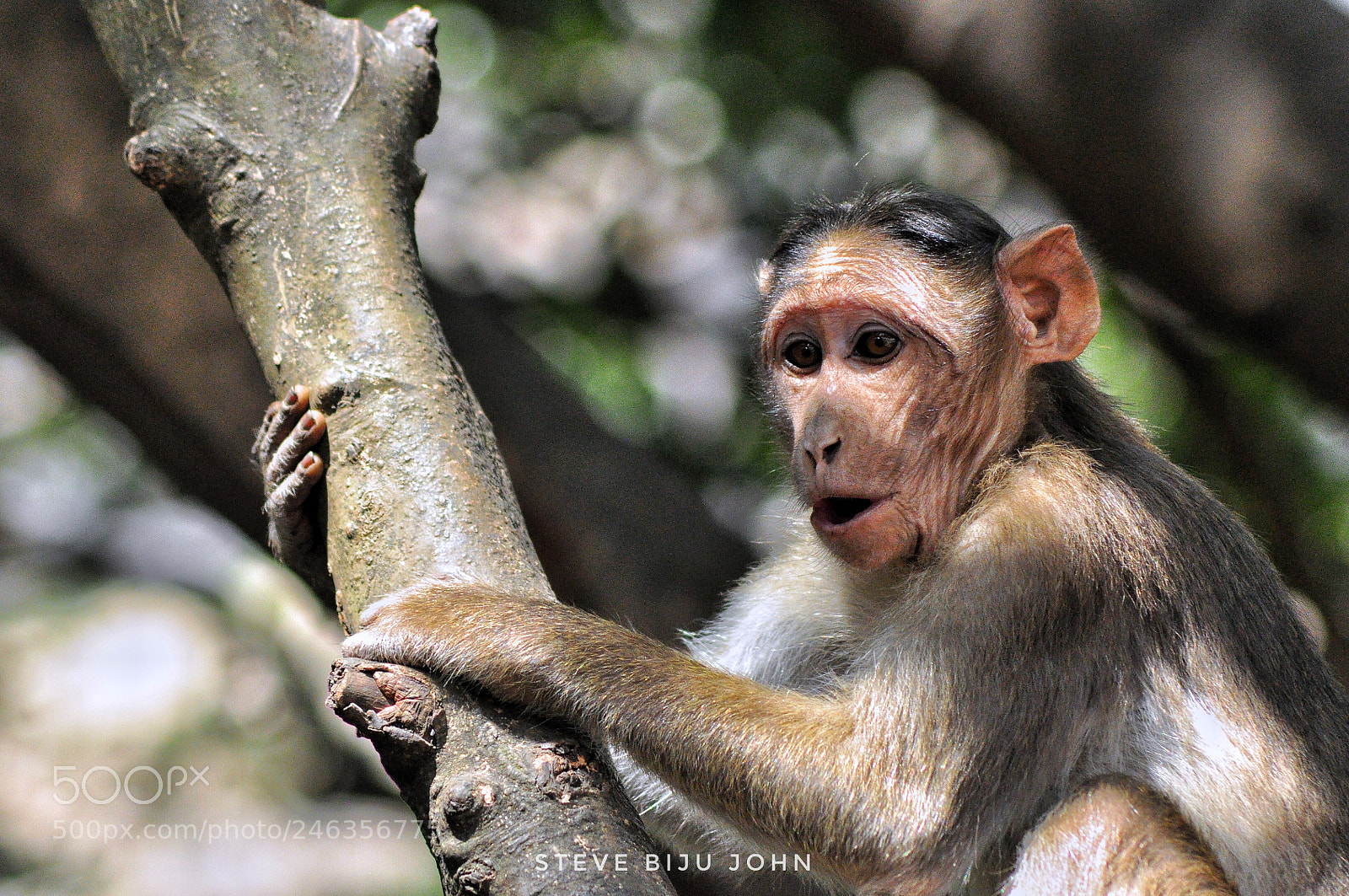Nikon D90 sample photo. Ooooooo photography