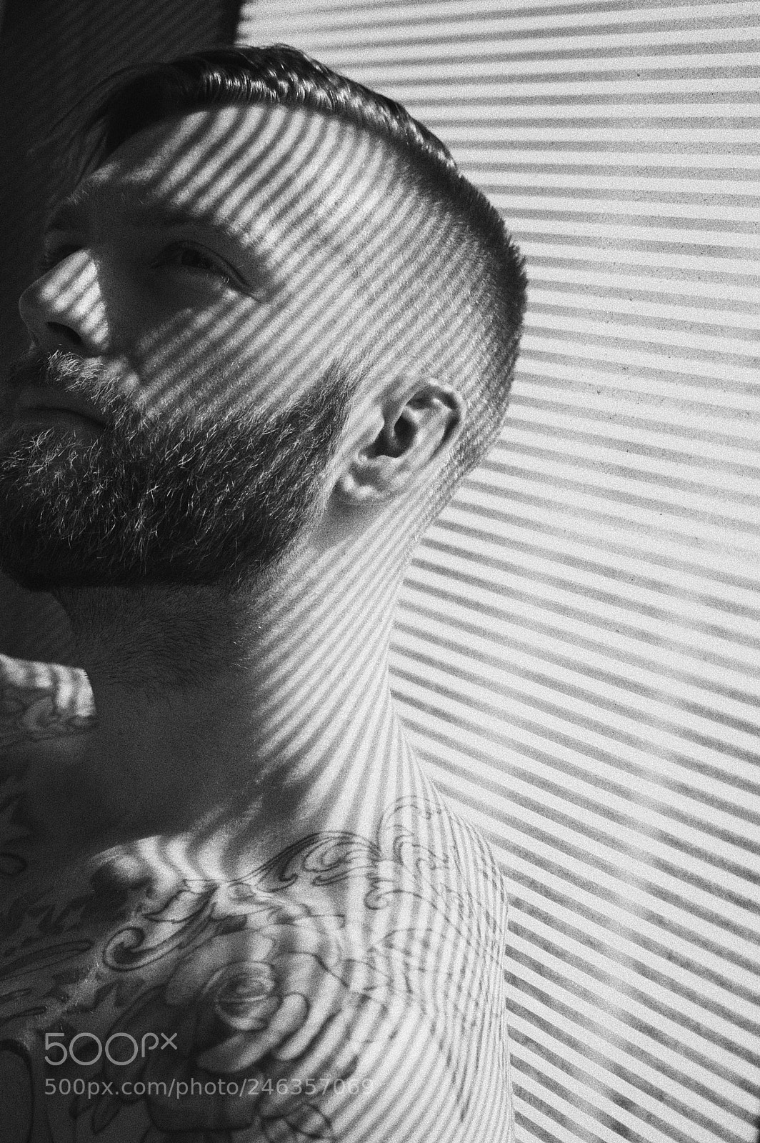 Nikon D3200 sample photo. Casting shadows photography