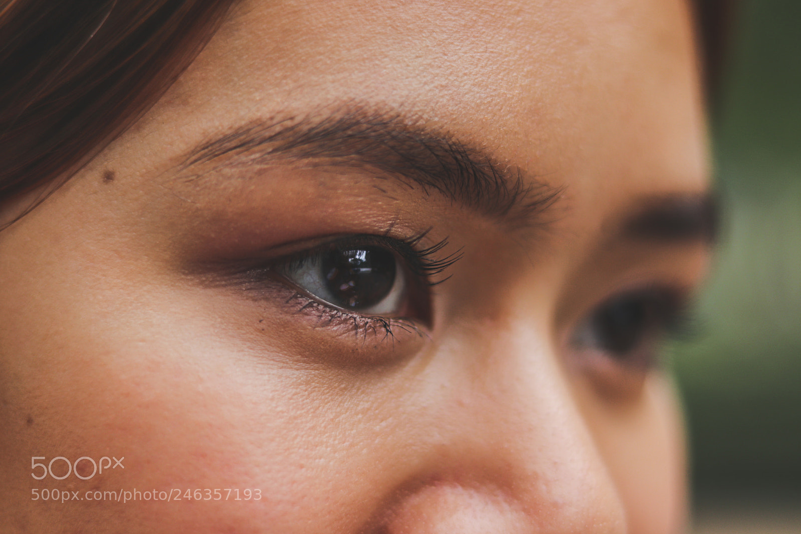 Canon EOS 800D (EOS Rebel T7i / EOS Kiss X9i) sample photo. Alex photography