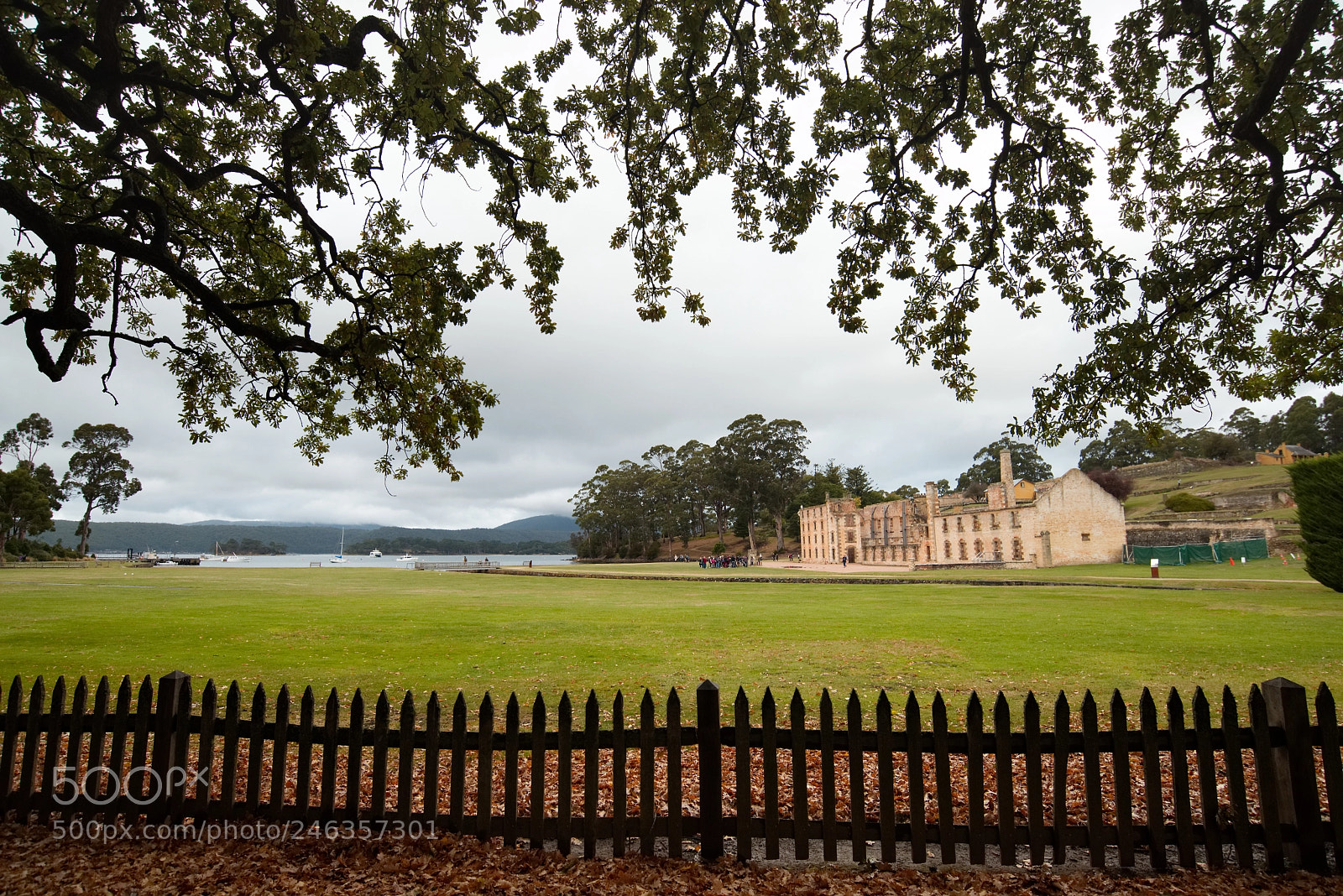 Nikon D610 sample photo. Tasmania - port arthur photography