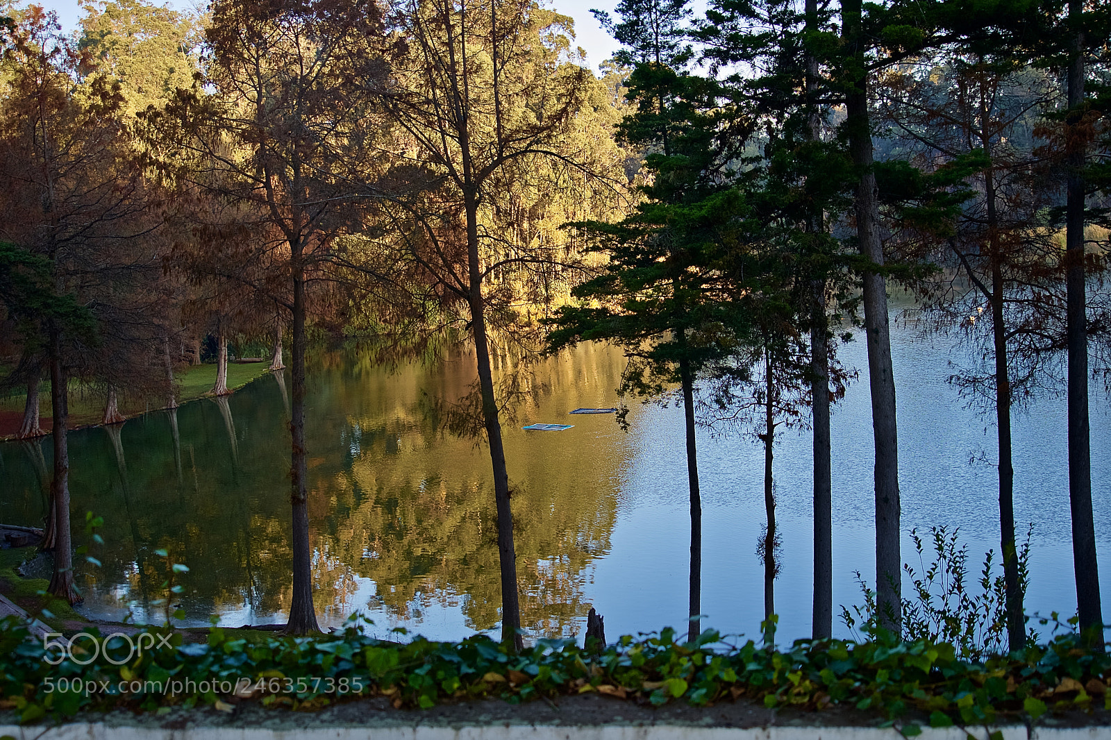 Sony a7 II sample photo. Ex-hacienda de chautla photography