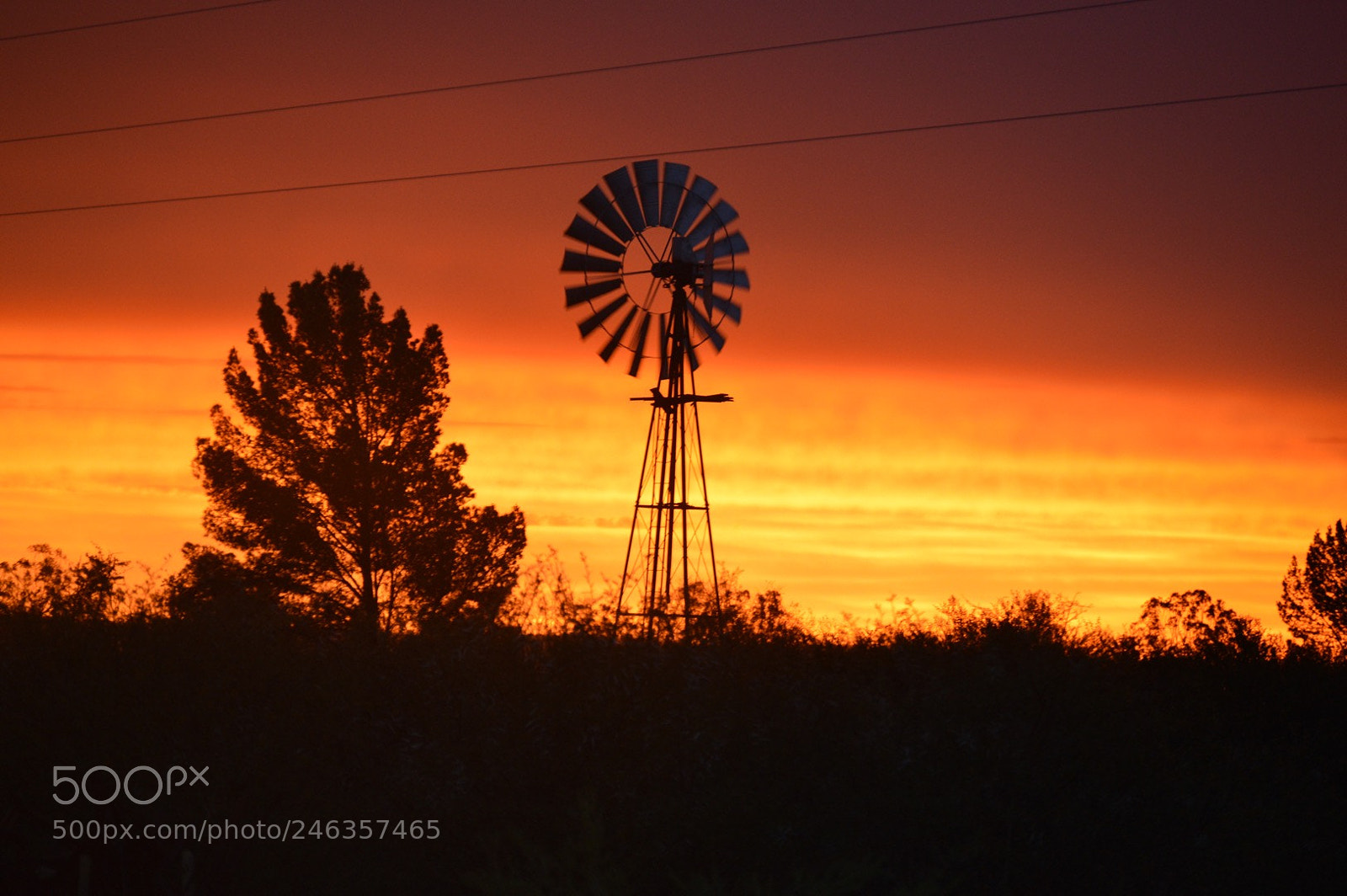 Nikon D3200 sample photo. Untitled photography