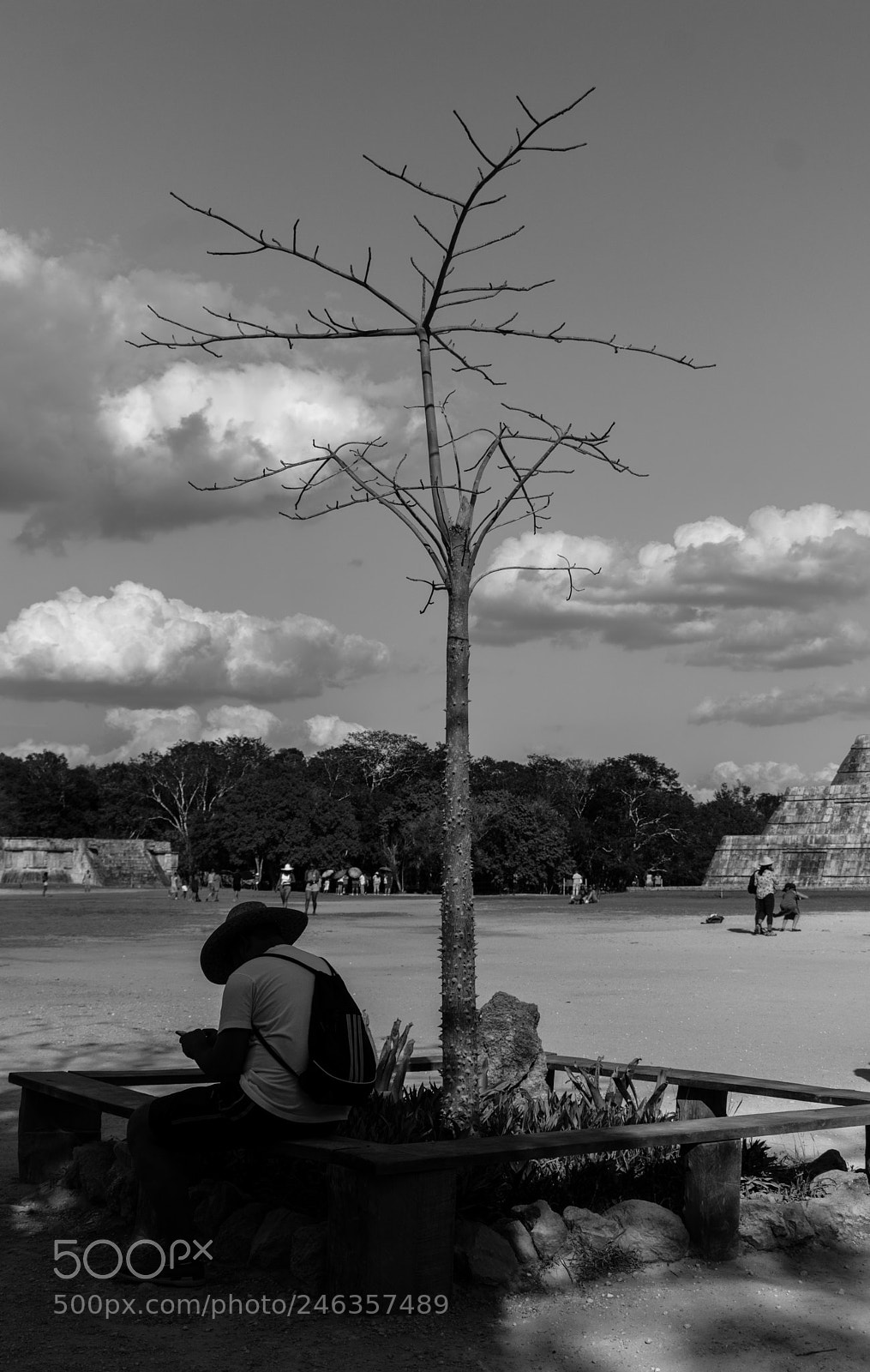 Nikon D3400 sample photo. Resting tourist photography