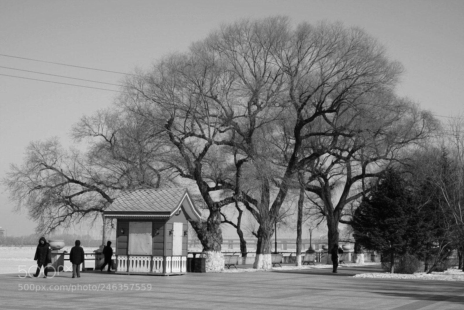 Sony a7R II sample photo. 江边 photography