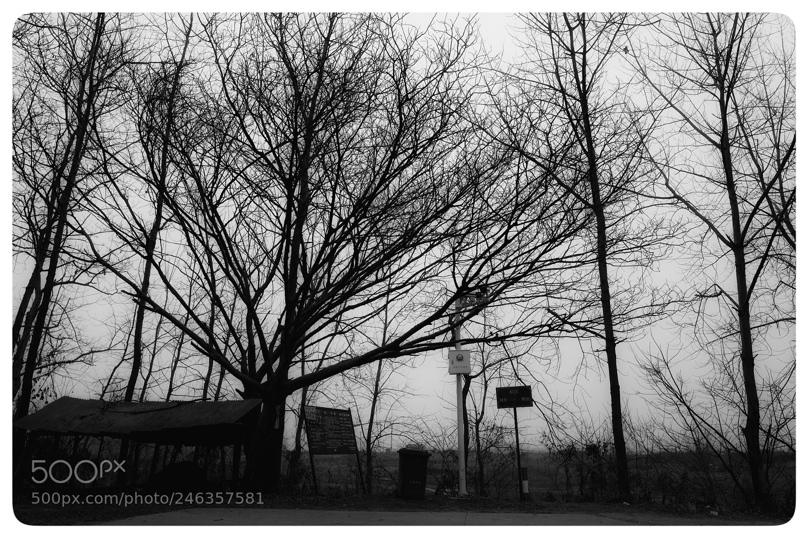 Leica Q (Typ 116) sample photo. Untitled photography