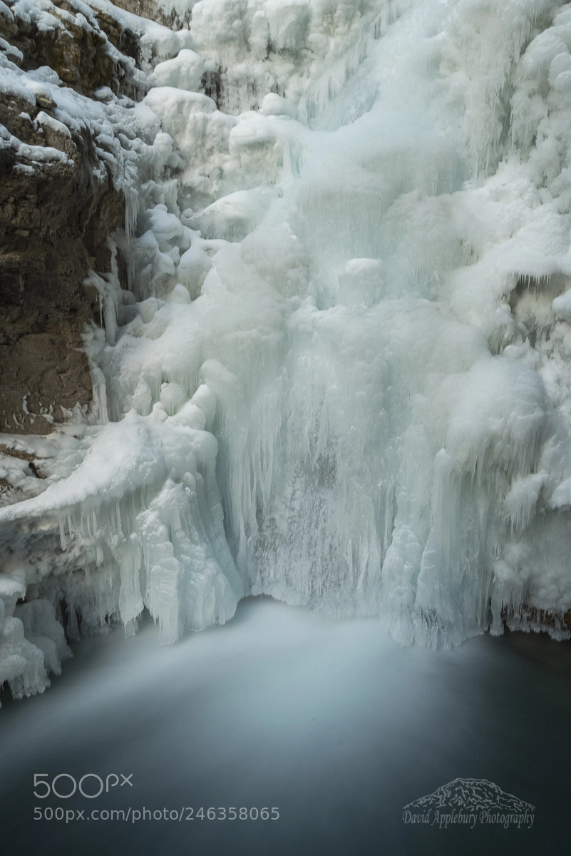 Nikon D800 sample photo. Johnston falls photography