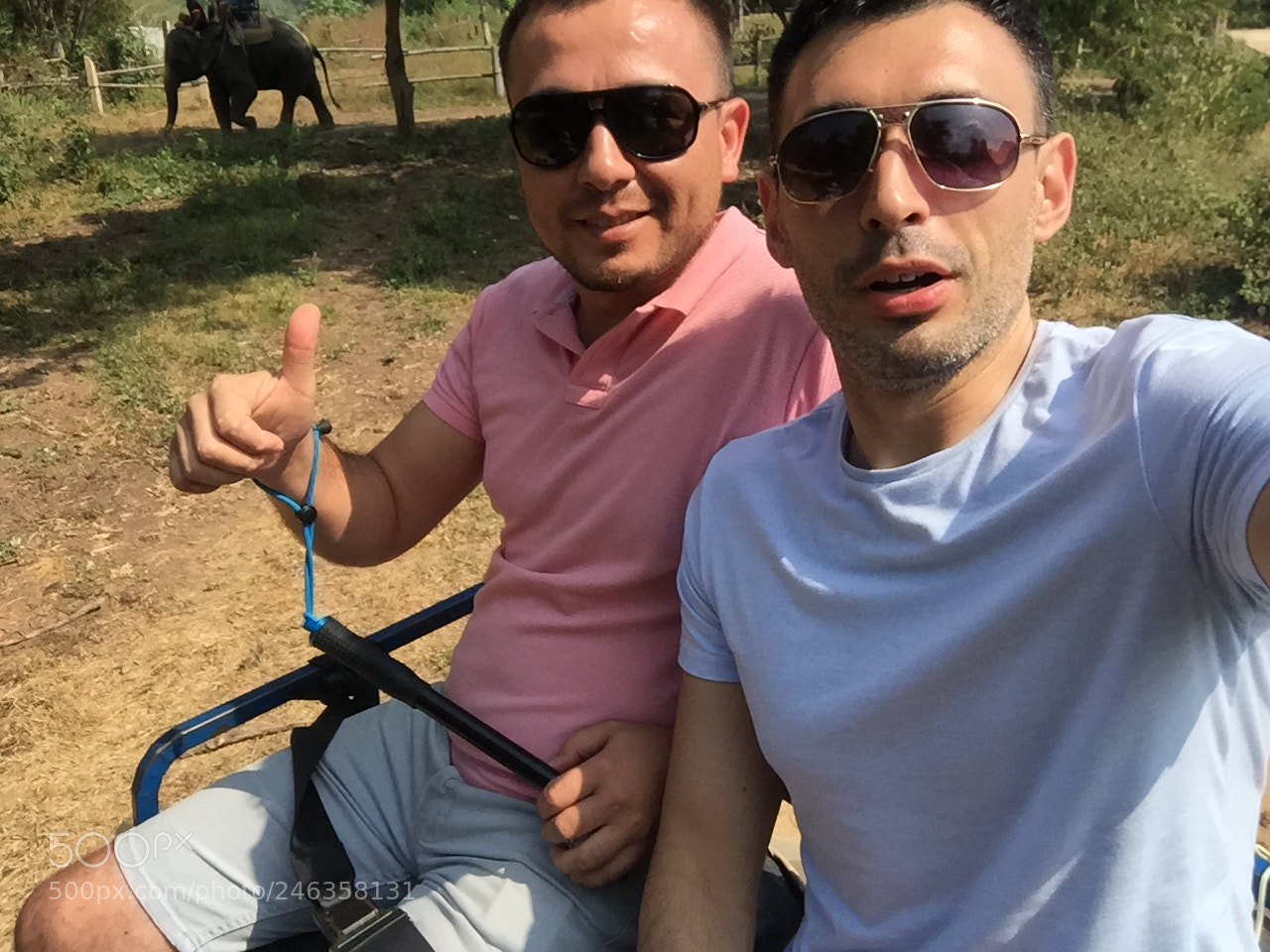 Apple iPhone 6 sample photo. On an elephant photography