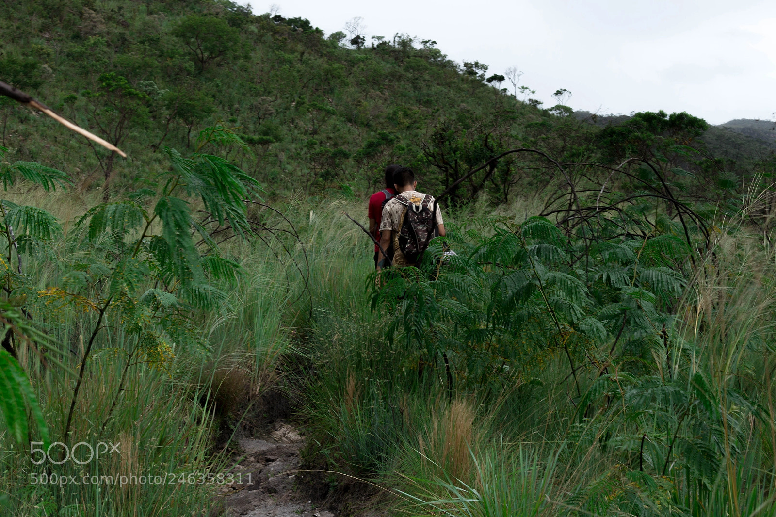 Canon EOS 700D (EOS Rebel T5i / EOS Kiss X7i) sample photo. Procurando a cachoeira photography