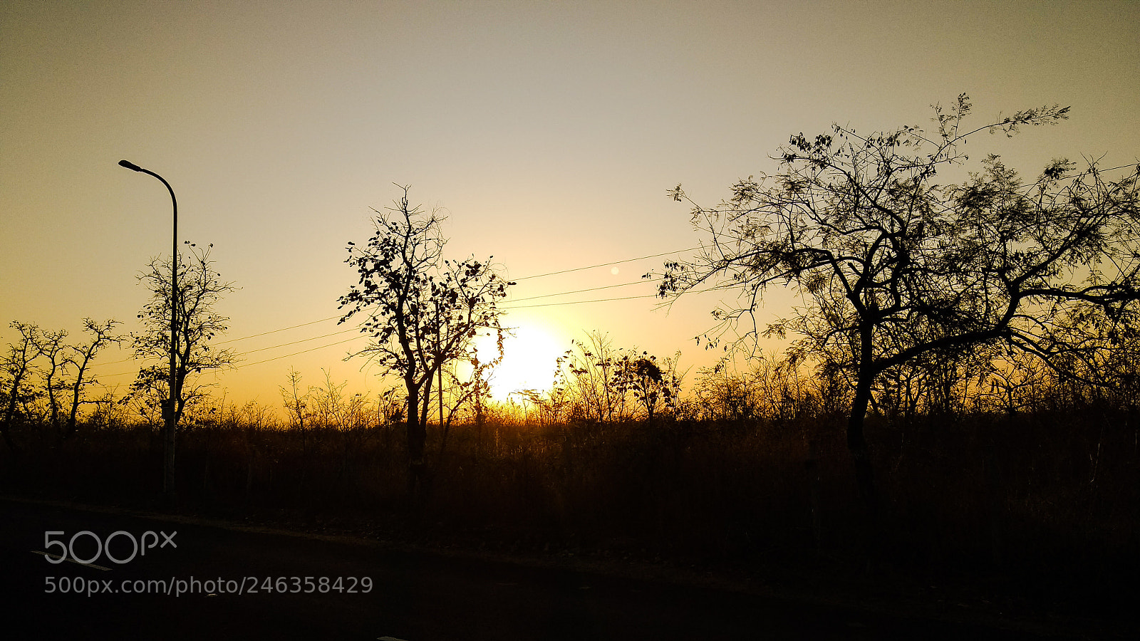 Xiaomi Mi A1 sample photo. A morning view worth photography
