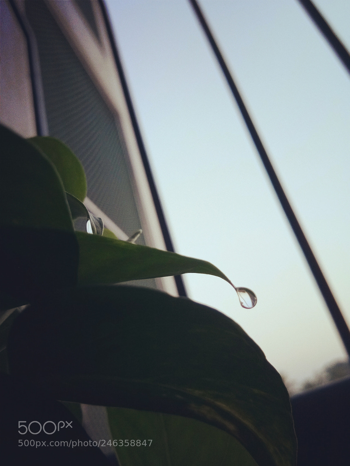 vivo 1601 sample photo. Untitled photography