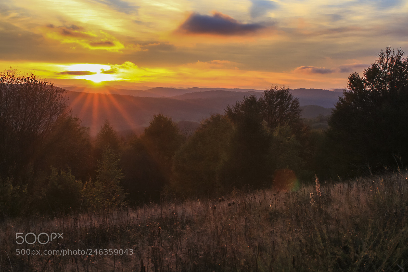 Canon EOS 7D sample photo. The last rays of photography