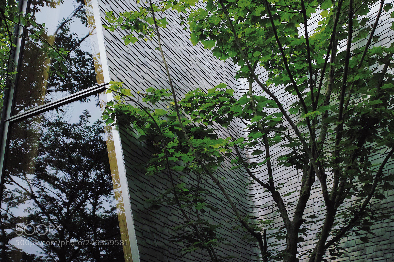 Sigma DP2 Merrill sample photo. Untitled photography