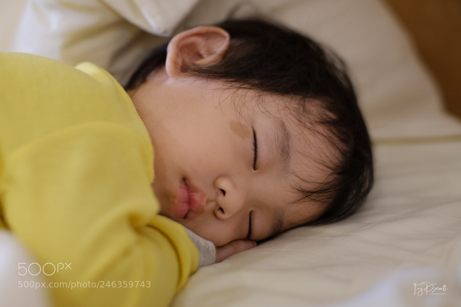 Fujifilm X-T20 sample photo. Thunthun sleeping photography