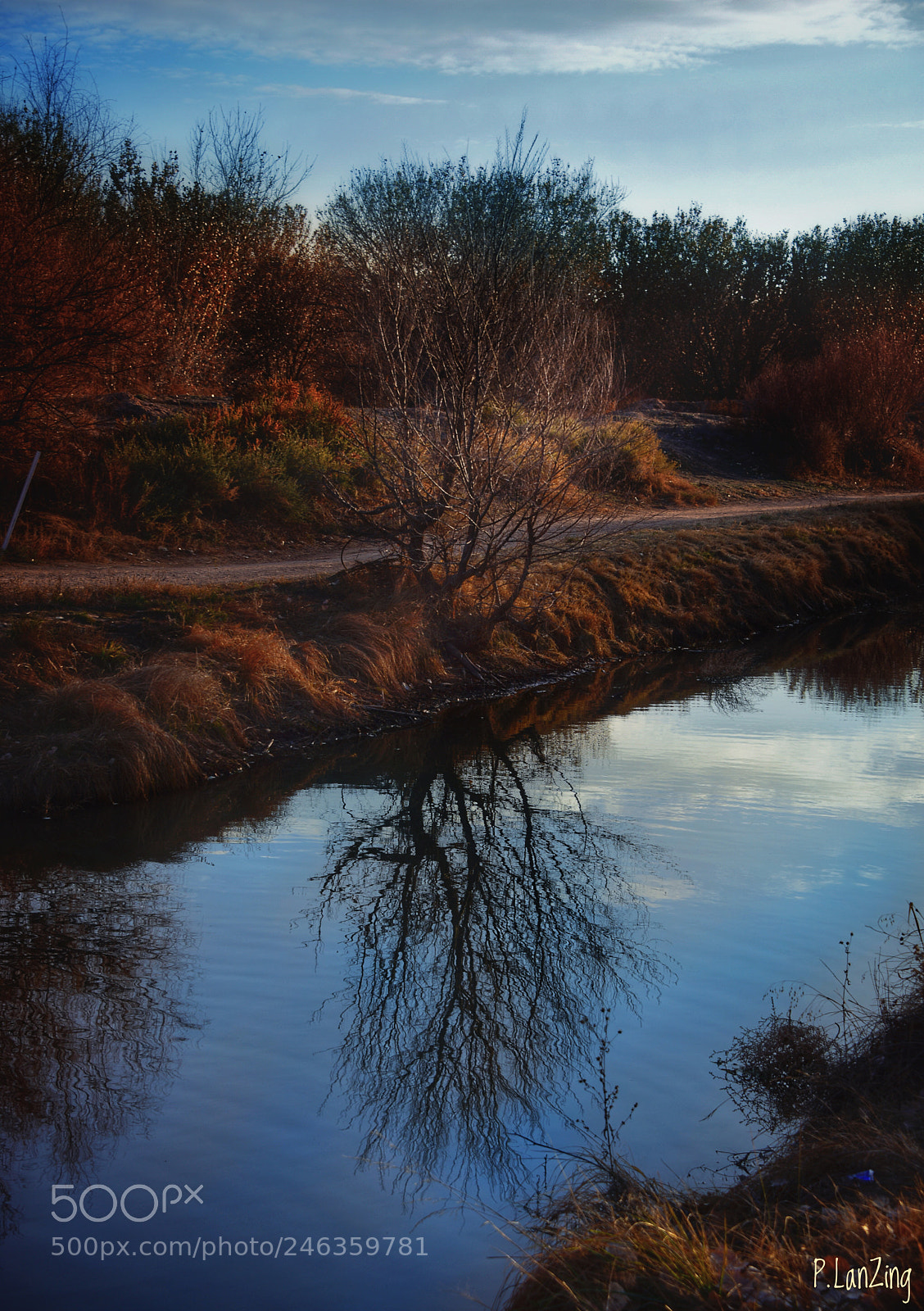 Nikon D810 sample photo. Acequia photography