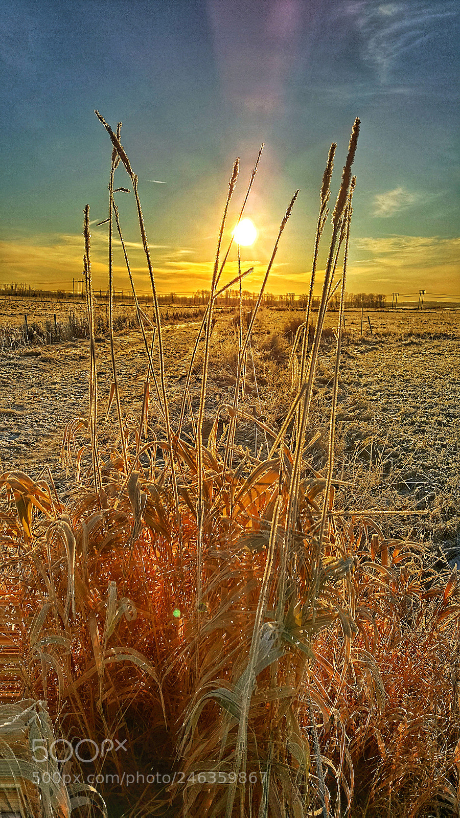 Samsung Galaxy S6 sample photo. Countryside photography