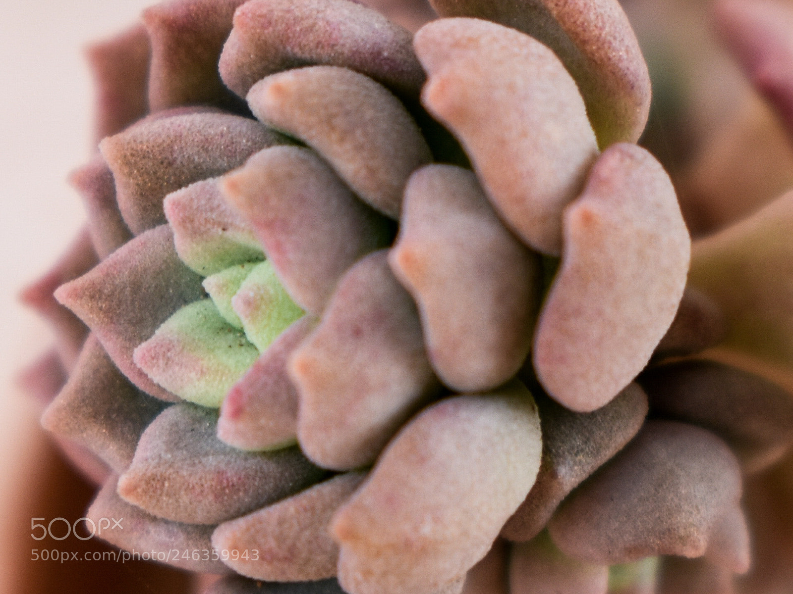Nikon D3400 sample photo. Untitled photography