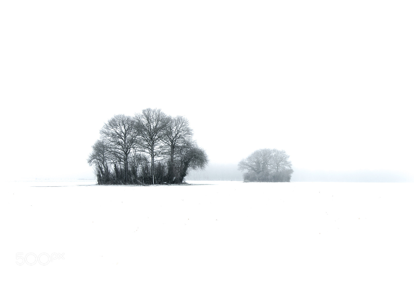 Nikon D4 sample photo. Winter photography