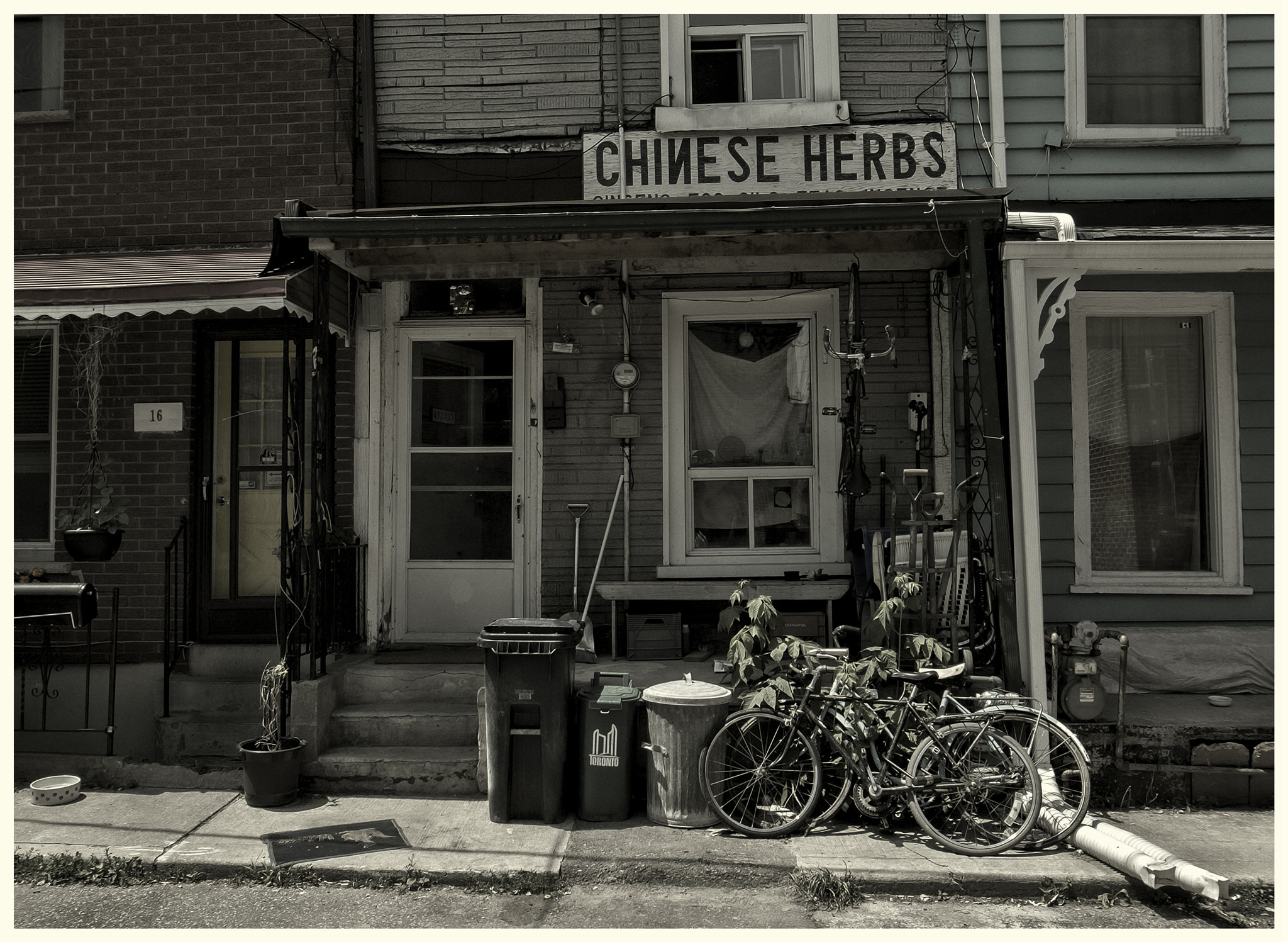 Ricoh GR DIGITAL 4 sample photo. The herb shop photography