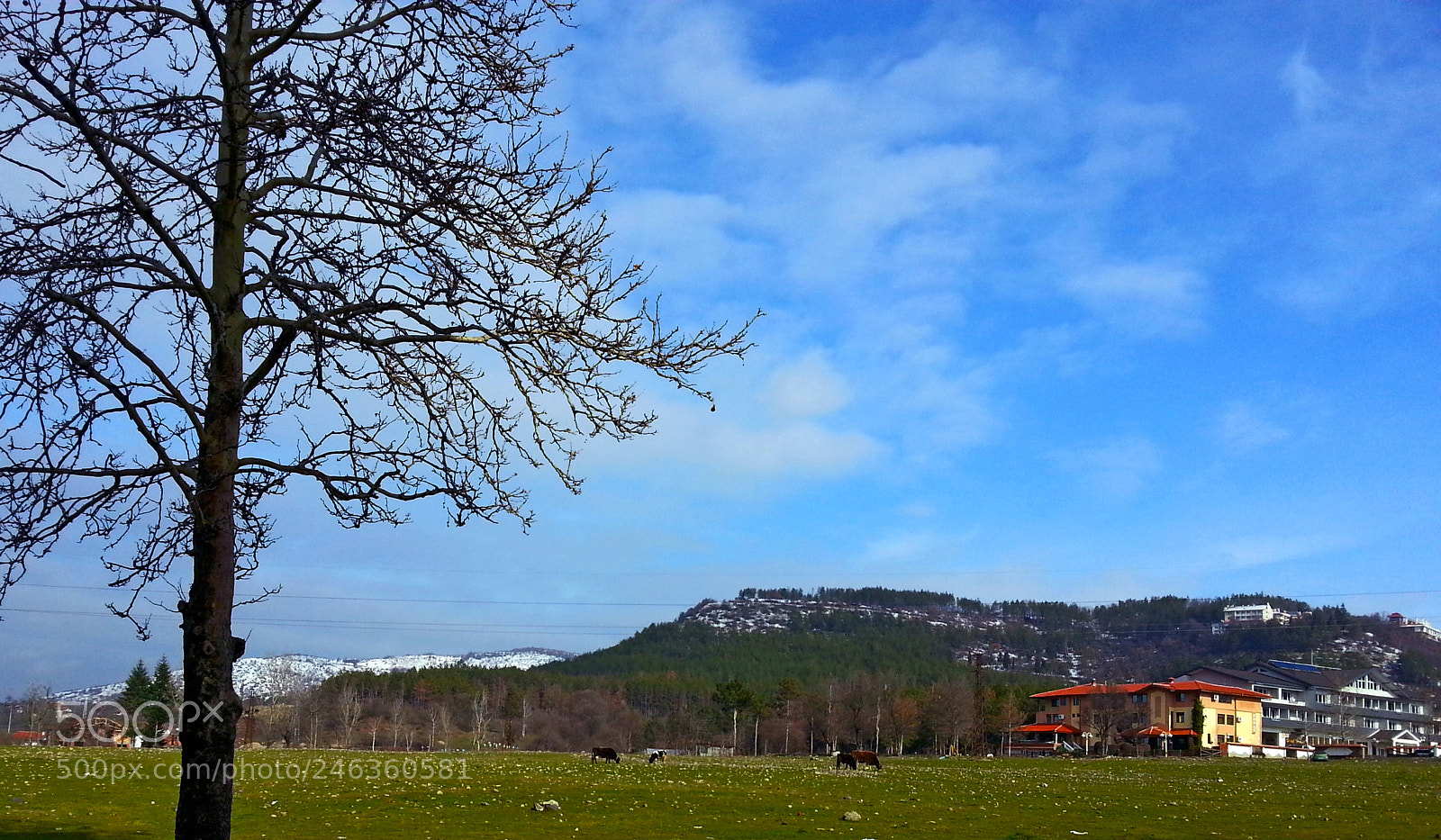 Samsung Galaxy Note2 sample photo. Landscapes photography