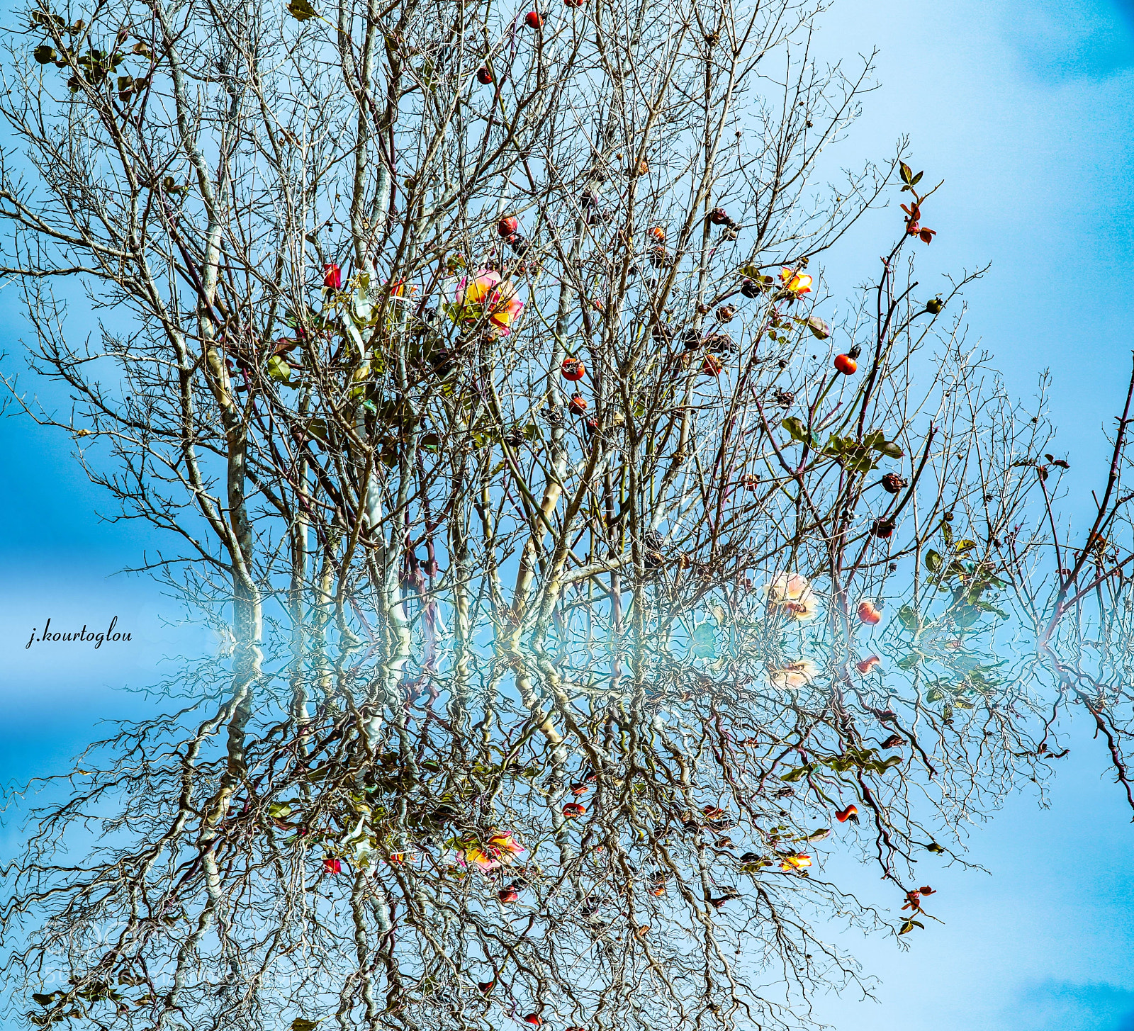 Sony a6500 sample photo. Mirroring of nature photography