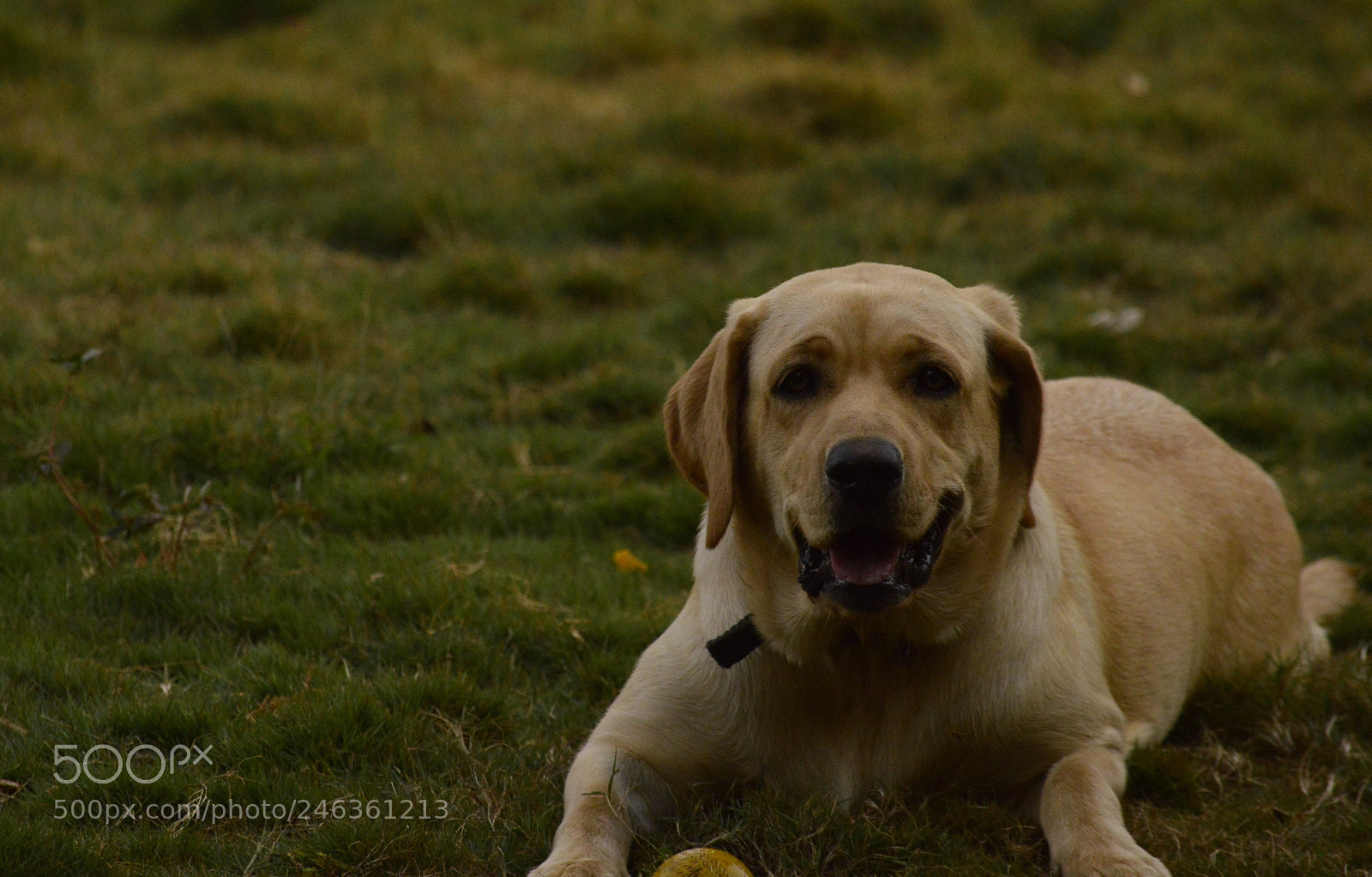 Nikon D3200 sample photo. Untitled photography