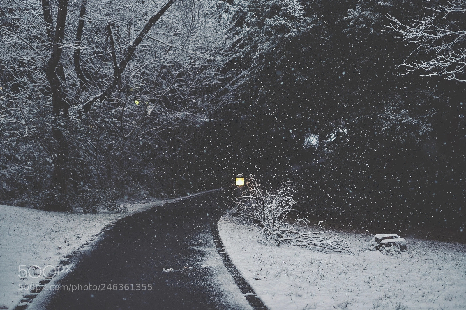 Fujifilm X-E2 sample photo. Snow in tsukuba photography