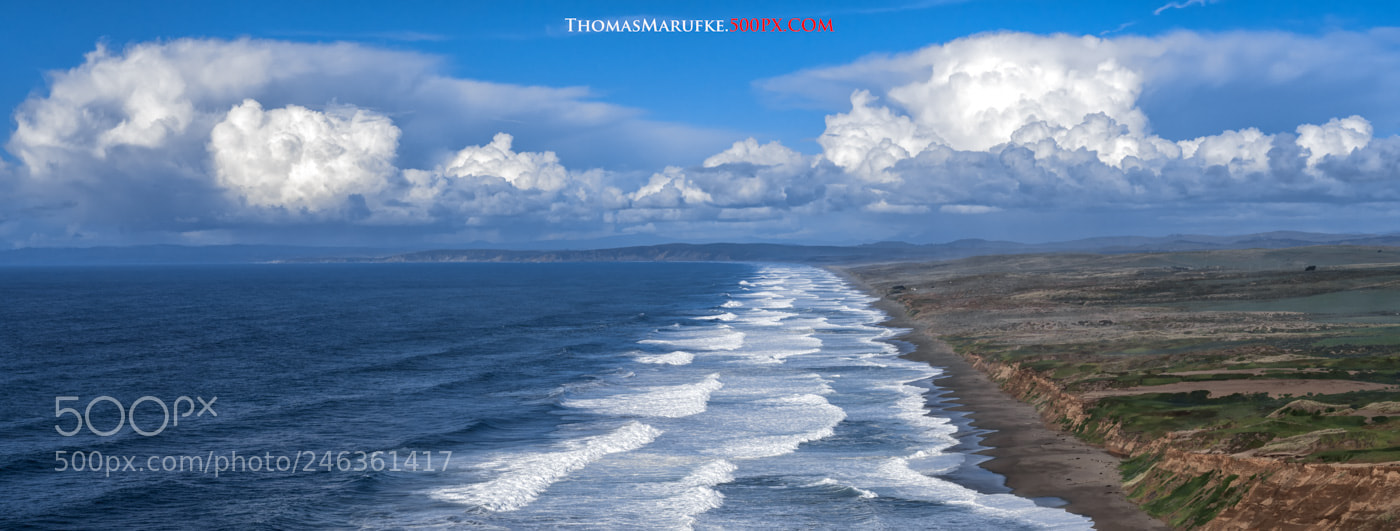 Sony a7R III sample photo. Point reyes photography