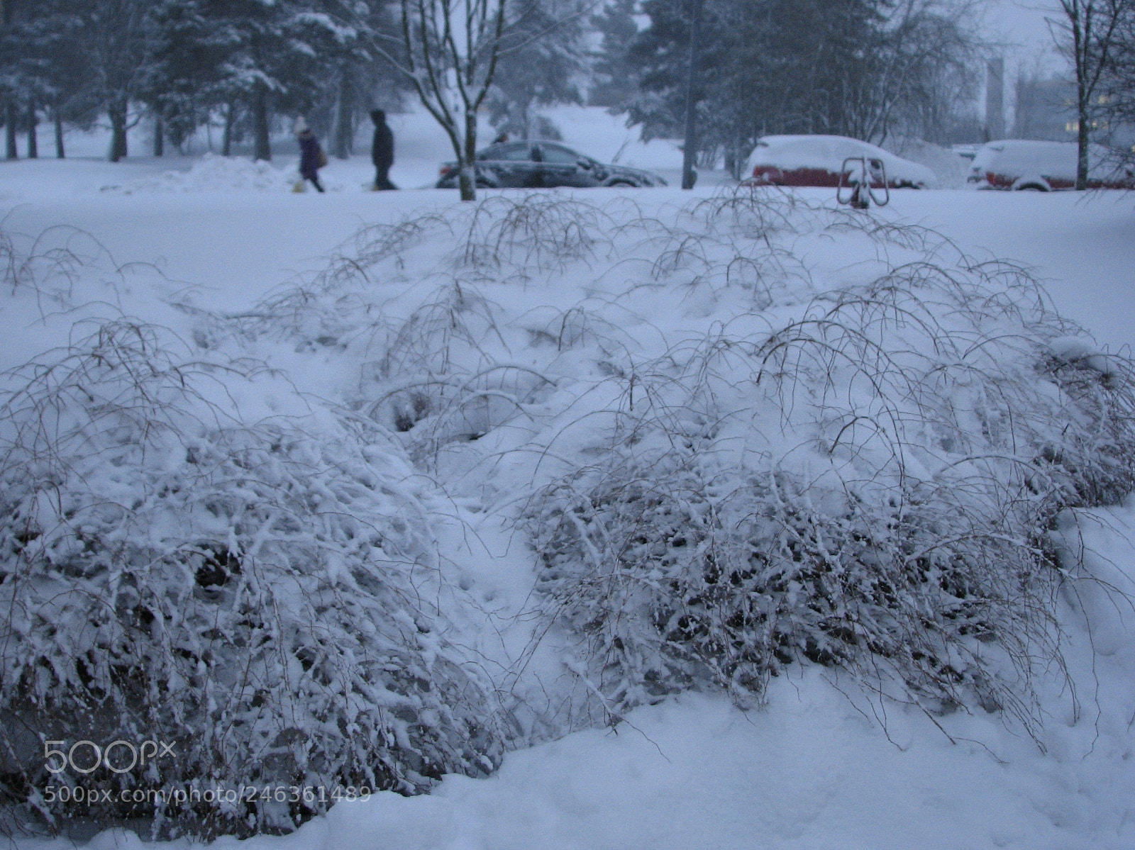 Canon POWERSHOT S3 IS sample photo. Snowing photography