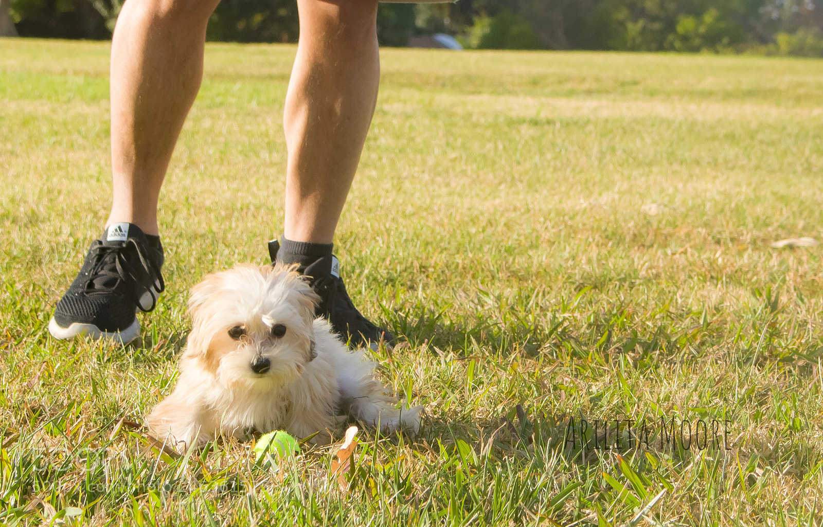 Canon EOS 100D (EOS Rebel SL1 / EOS Kiss X7) sample photo. A dog and his photography