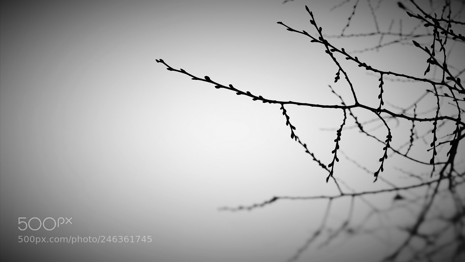 Nikon D5500 sample photo. Some black pixel photography