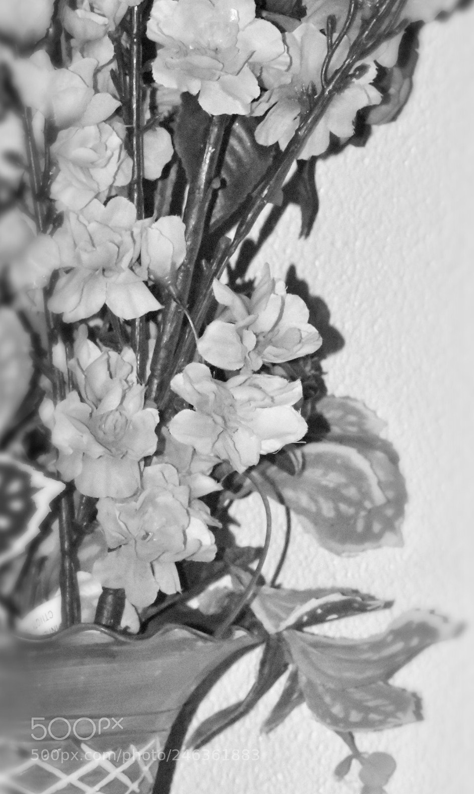 Nikon D5600 sample photo. Untitled photography