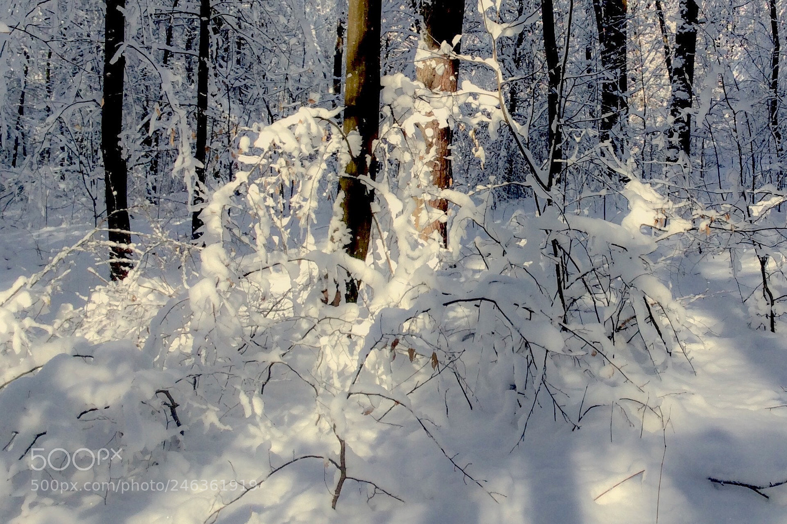 Apple iPad Air sample photo. Sunny day. photography
