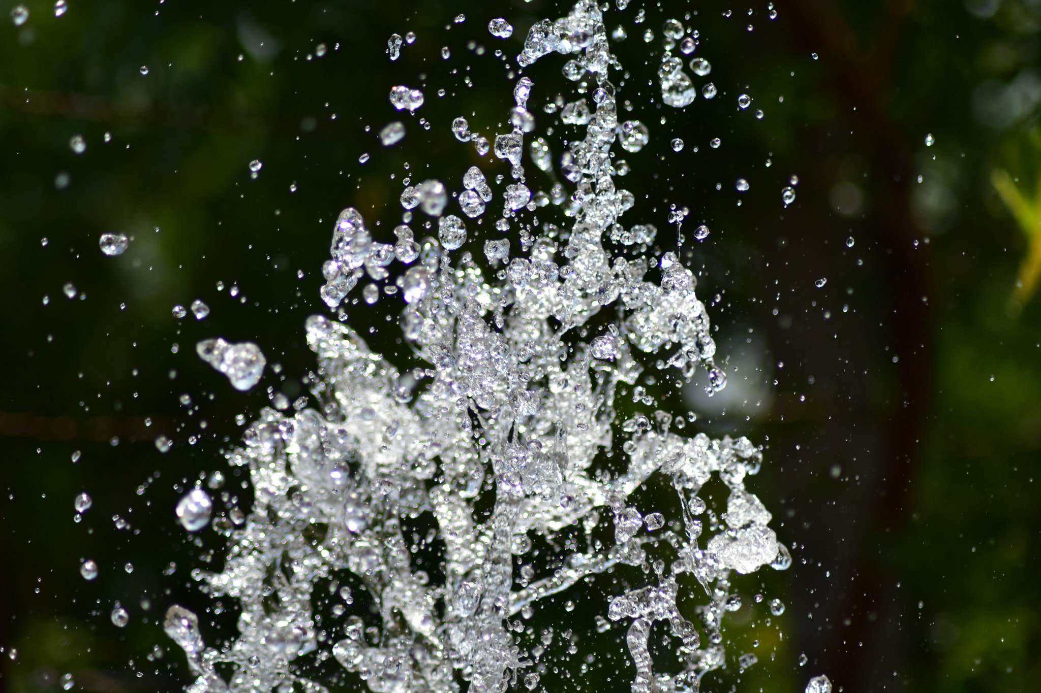 Nikon D5600 + Nikon AF Nikkor 70-300mm F4-5.6G sample photo. Every drop of water is like diamond!!!! photography