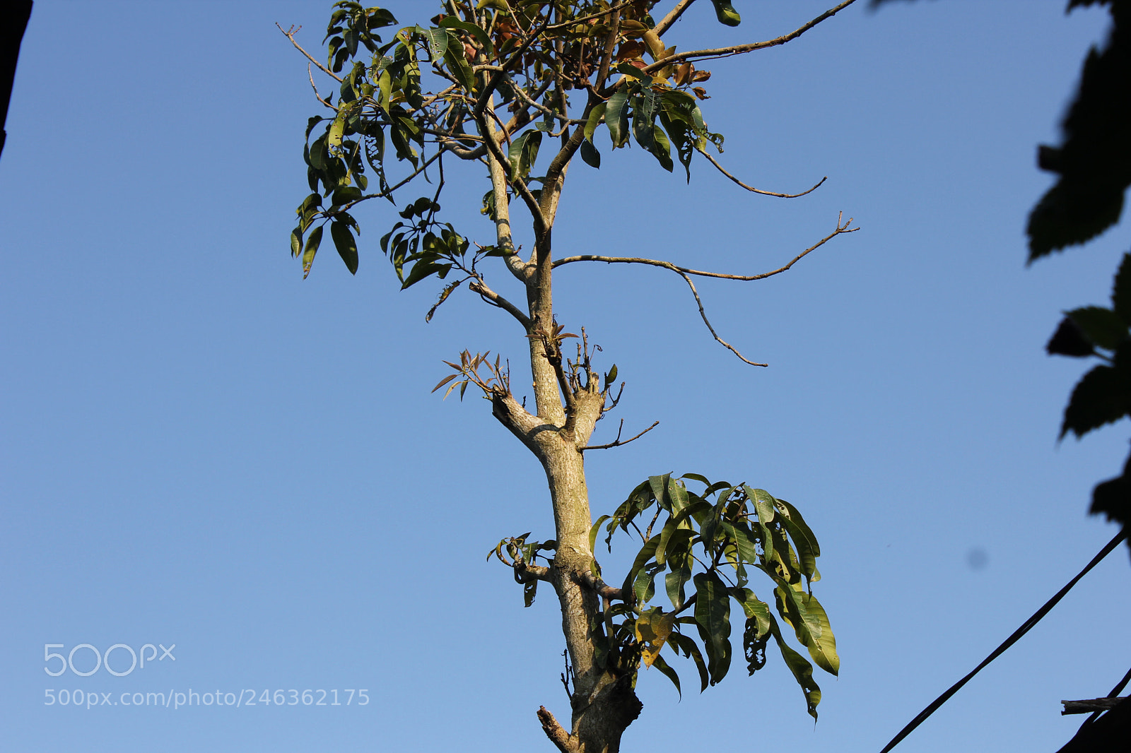 Canon EF-S 18-55mm F3.5-5.6 IS sample photo. Img photography