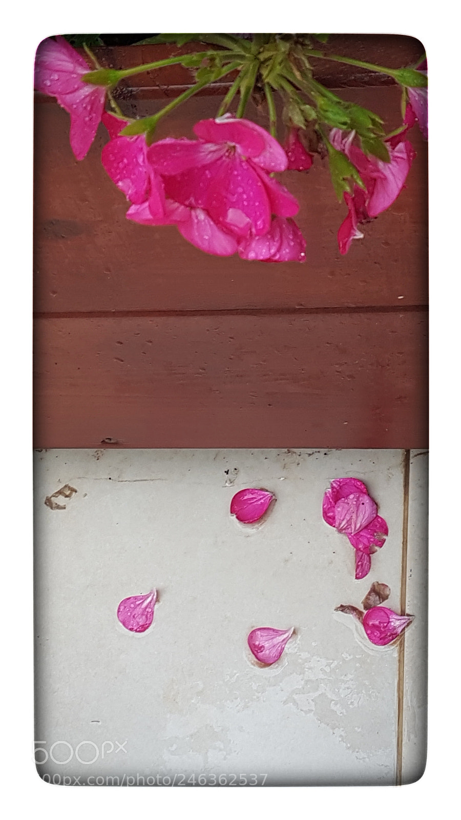 Samsung Galaxy S7 sample photo. Rainy morning photography