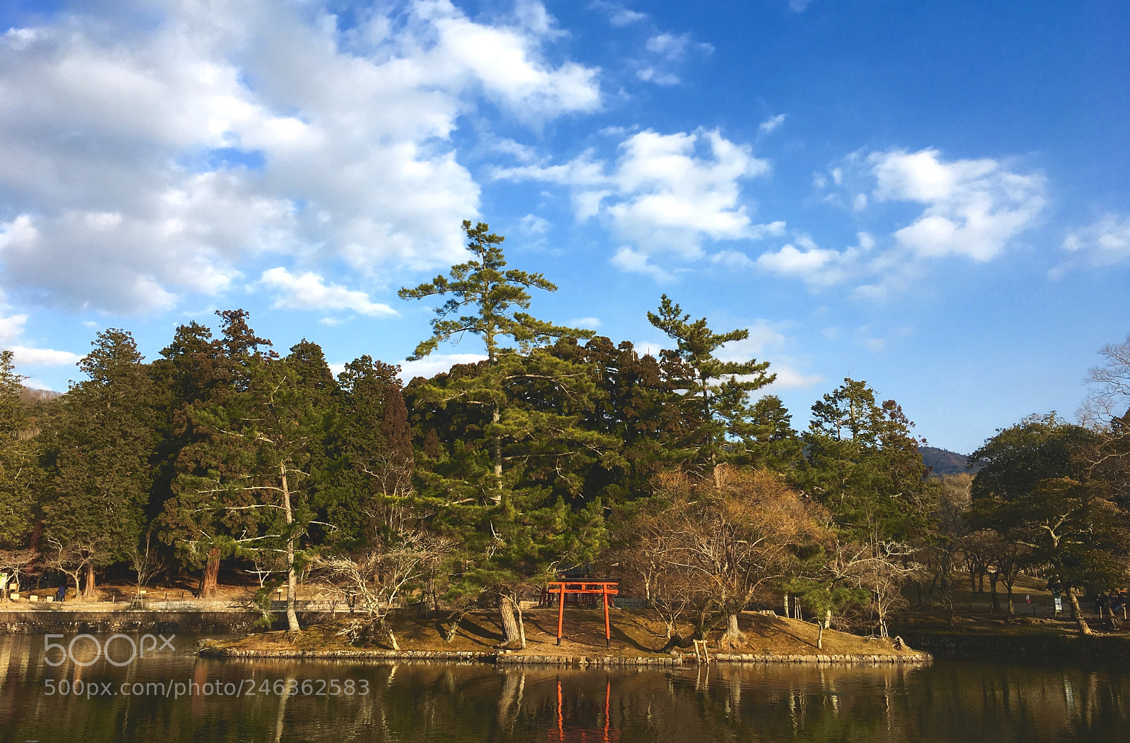 Apple iPhone 6s Plus sample photo. Nara photography