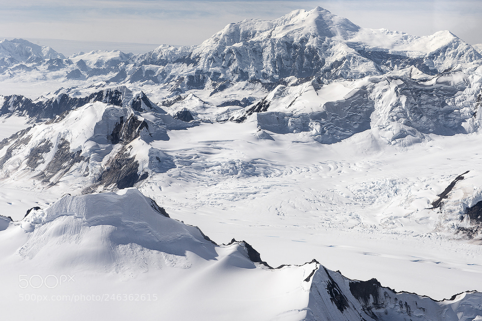 Nikon D610 sample photo. Frozen photography