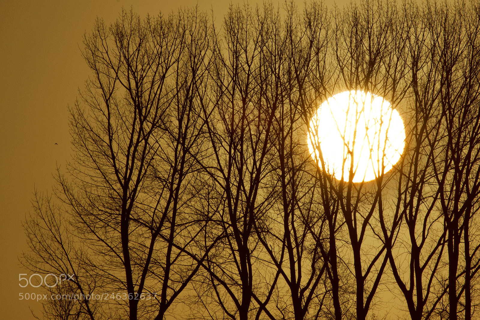 Canon EOS 7D Mark II sample photo. Sunrise photography