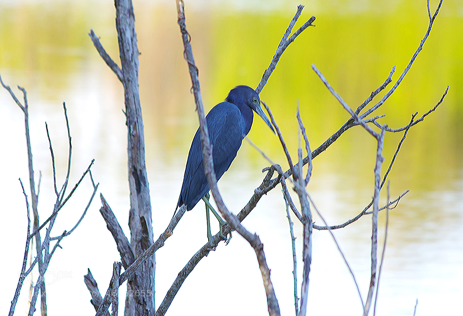 Pentax K-5 sample photo. Solitude photography