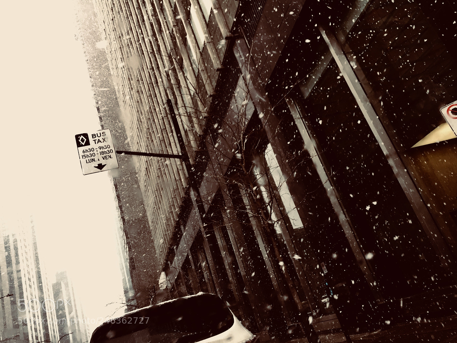 Apple iPhone 6 Plus sample photo. Untitled photography