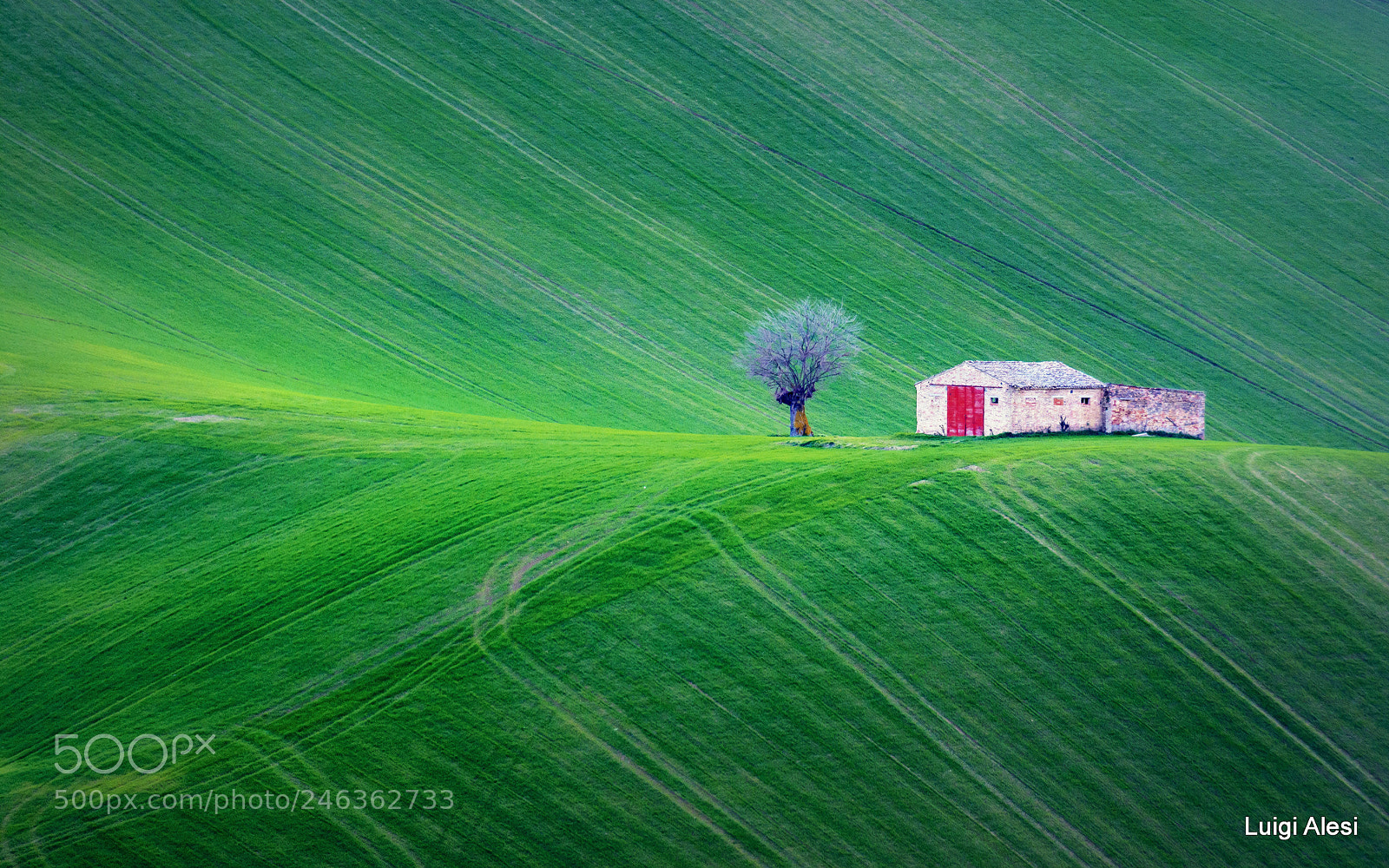 Nikon D7100 sample photo. Marche countryside photography
